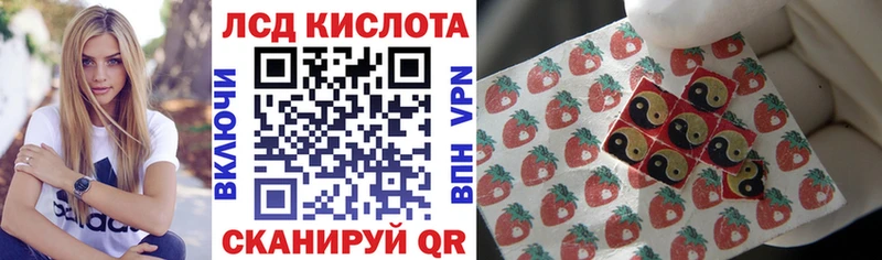 дарнет шоп Пласт Марки NBOMe 1,8мг
